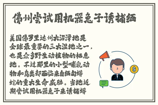 丰满多**的大陰户近距离